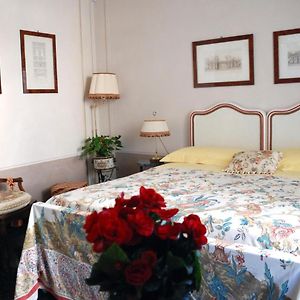Bed And Breakfast Flowers